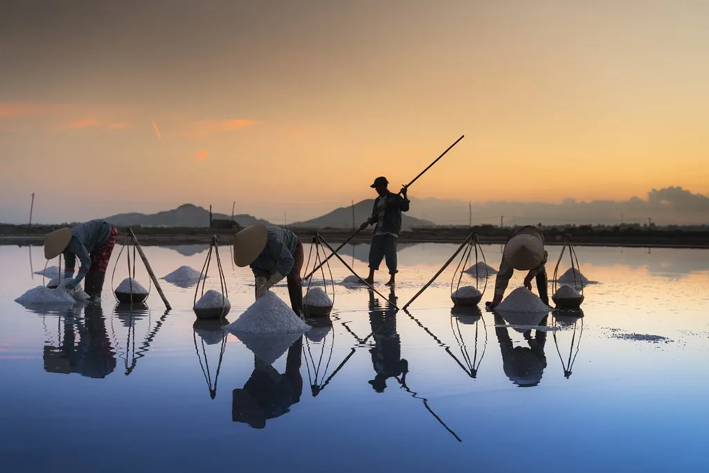 Salt workers in conical hats raking white salt mounds across flooded pans at sunset