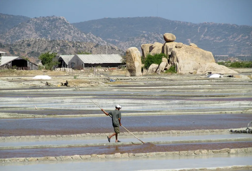 A salt worker raking brine in shallow evaporation pans below rocky hills