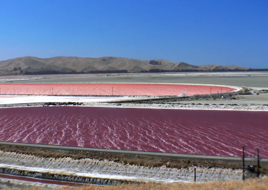 Long rows of solar evaporation ponds with pink brine at different stages